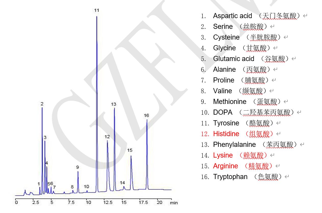 菲羅門(mén)液相色譜柱在高效液相中分析未衍生的16種氨基酸